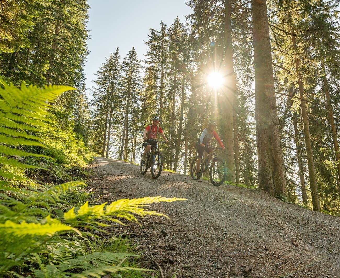 Mountainbiker fahren durch den Wald