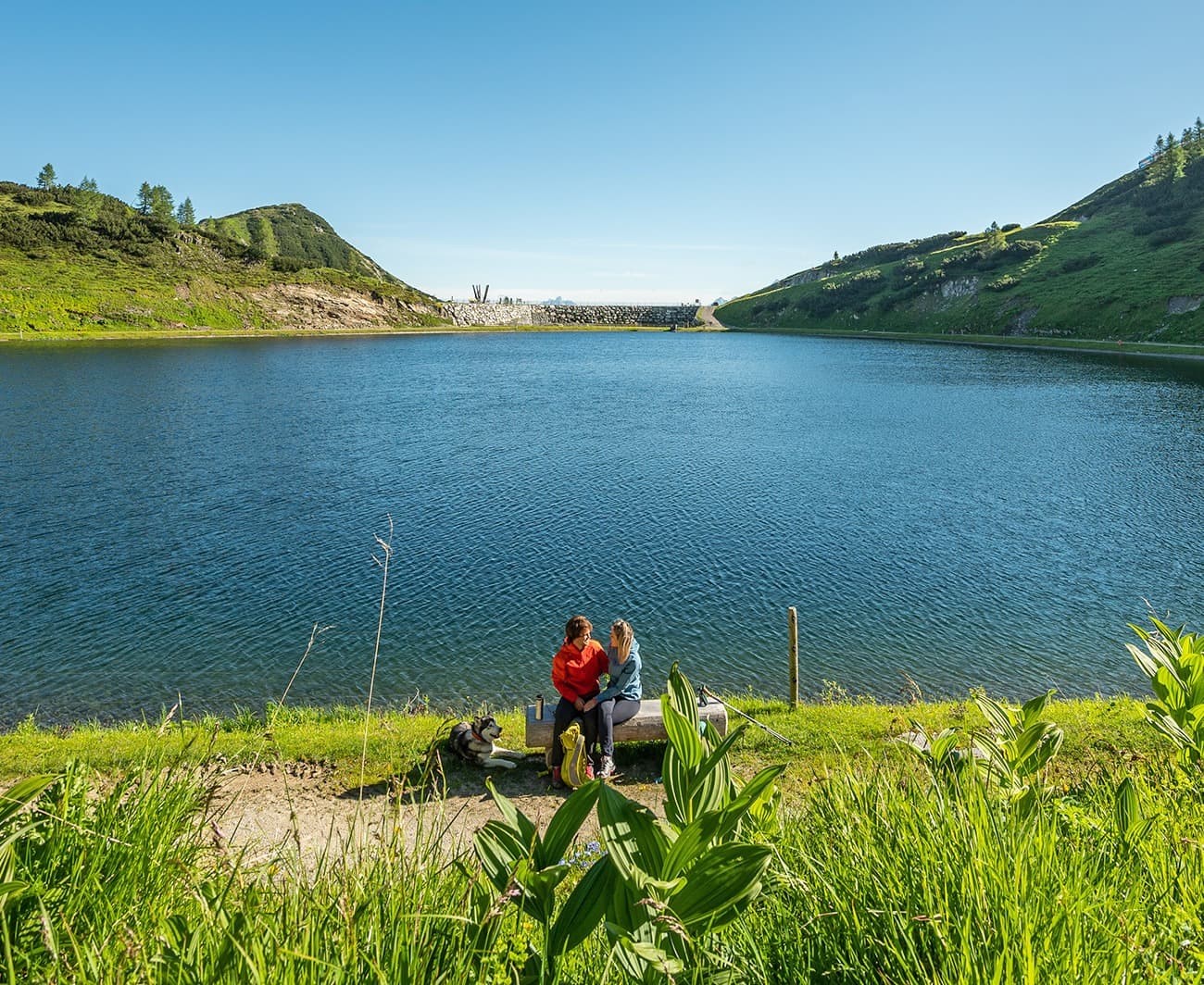 Two people sit by a tranquil lakeside on a sunny day