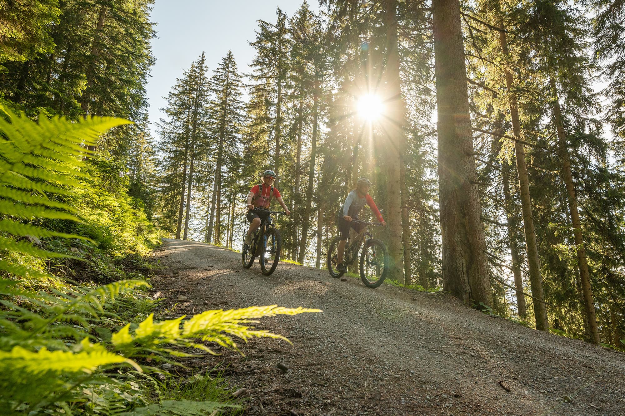 Mountainbiken beim Sommerurlaub in Altenmarkt-Zauchensee im Salzburgerland in Österreich