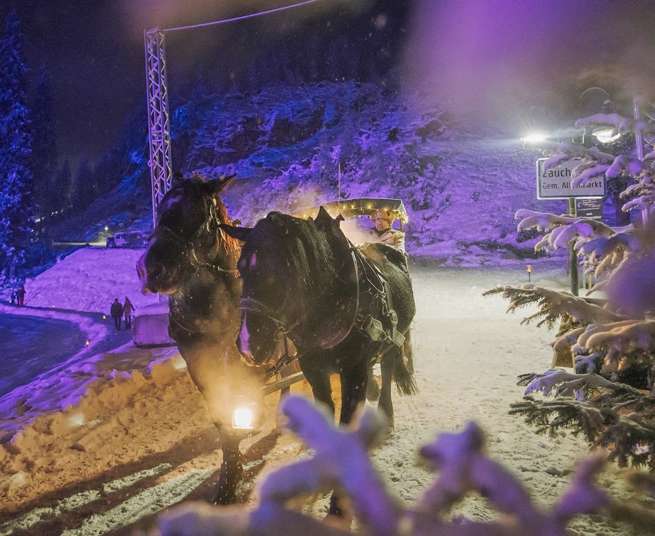Romantic horse-drawn carriage ride in Zauchensee